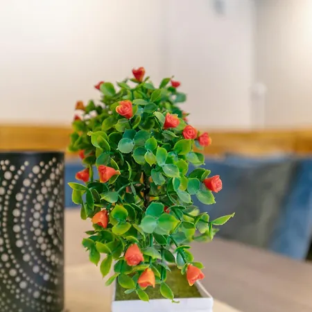 아파트호텔 Zur Panke 5